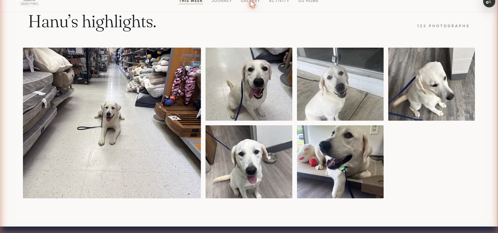 The week's photo gallery in the portal — Hanu's highlights