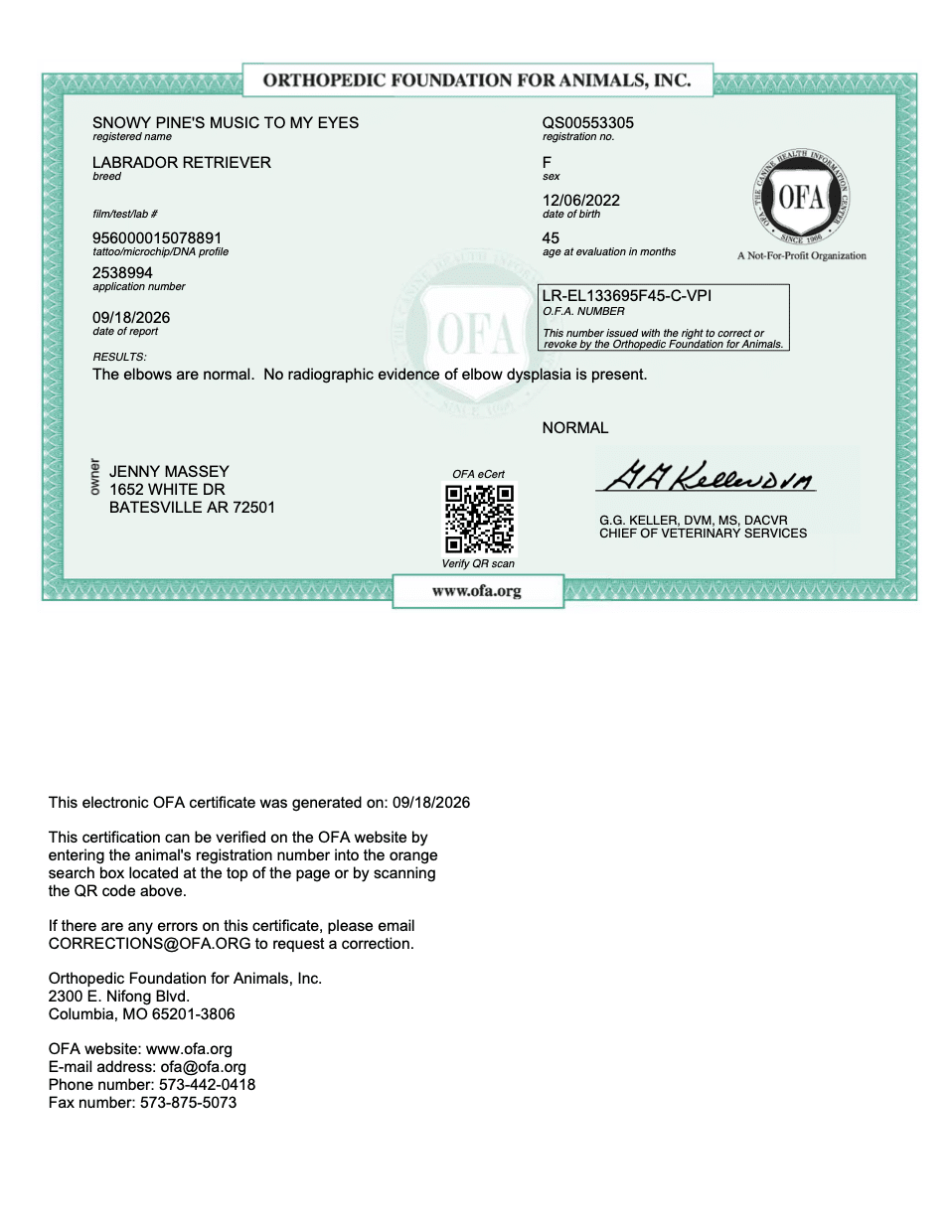 Ally OFA Elbow Evaluation certificate
