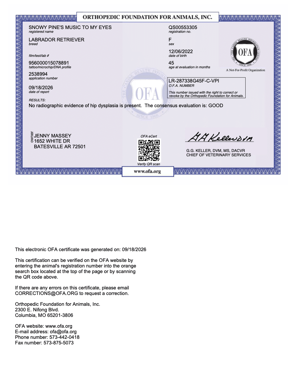 Ally OFA Hip Evaluation certificate