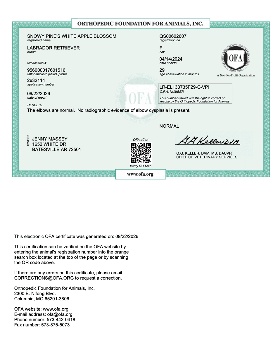 Apple OFA Elbow Evaluation certificate