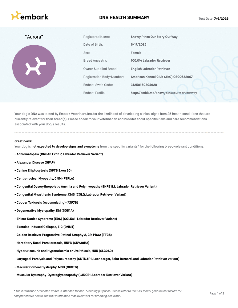 Aurora Embark DNA Report report