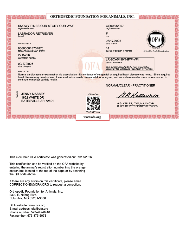 Aurora OFA Cardiac Evaluation certificate