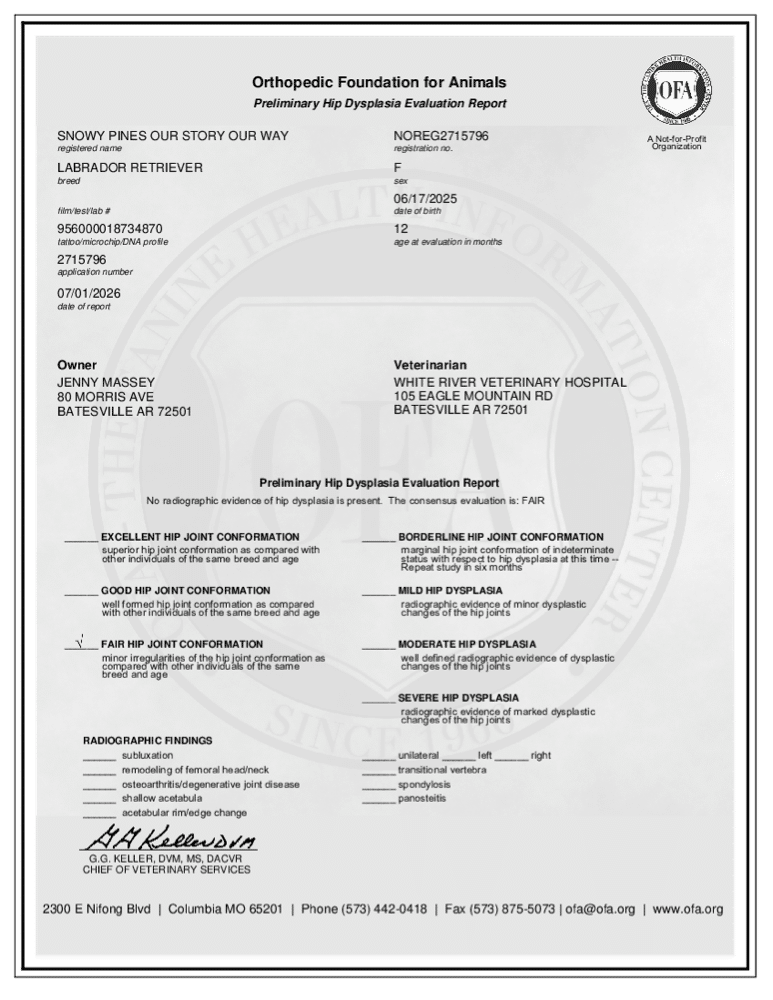 Aurora OFA Hip Evaluation certificate