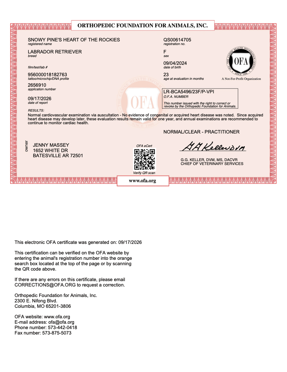 Dillon OFA Cardiac Evaluation certificate