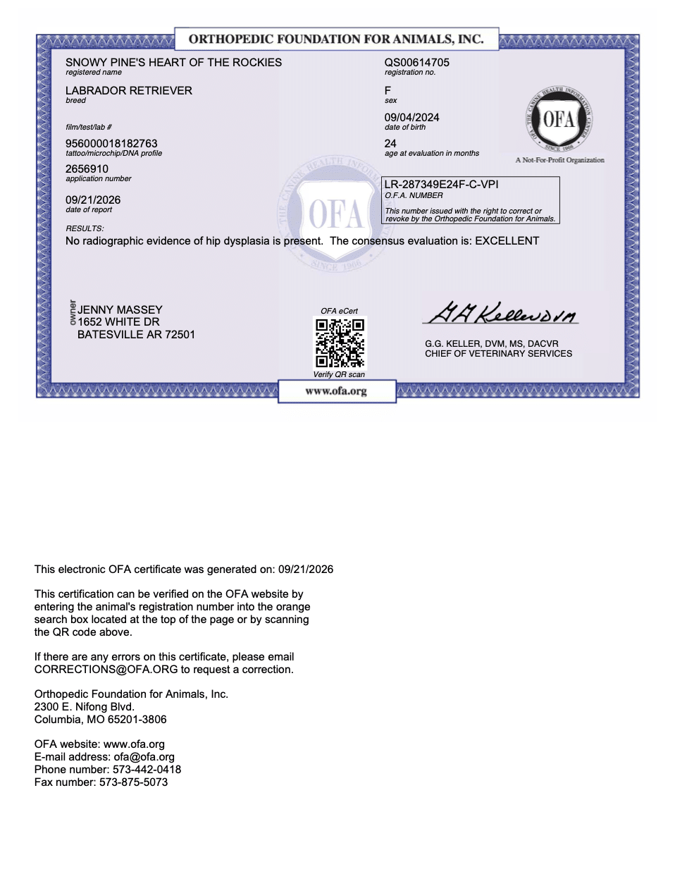 Dillon OFA Hip Evaluation certificate