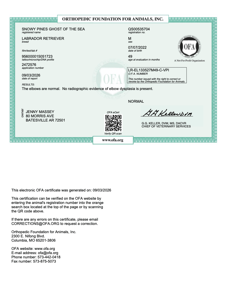Swagger OFA Elbow Evaluation certificate