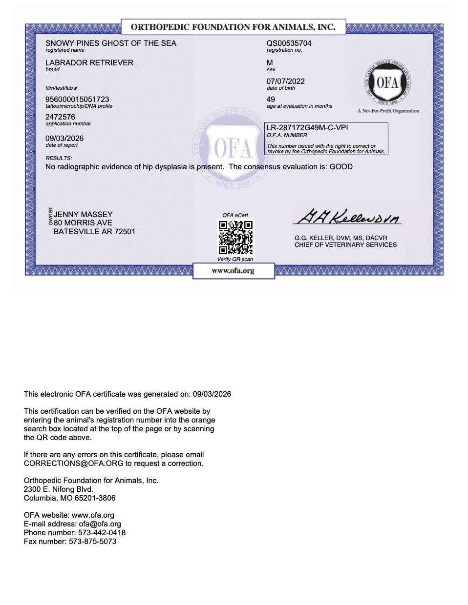 Dutch OFA Hip Evaluation certificate