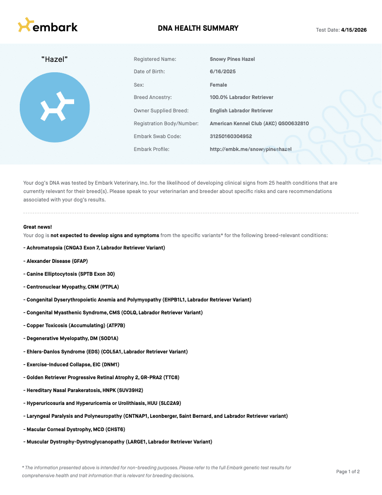 Hazel Embark DNA Report report