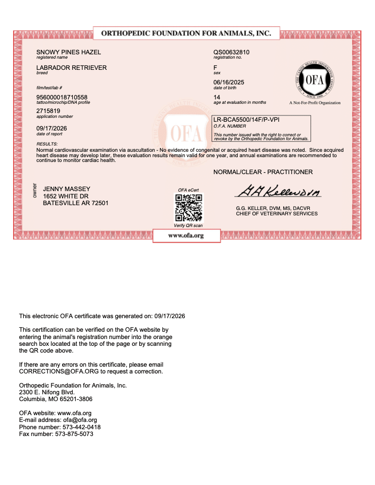 Hazel OFA Cardiac Evaluation certificate
