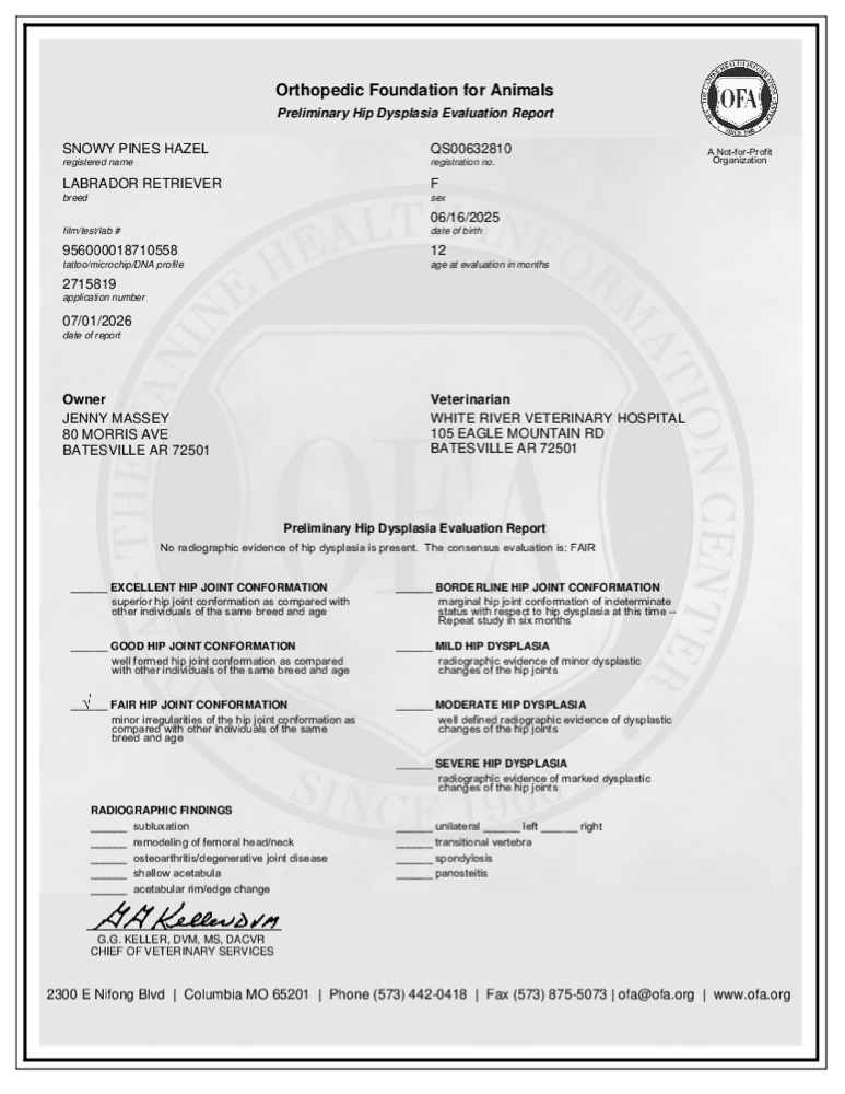 Hazel OFA Hip Evaluation certificate