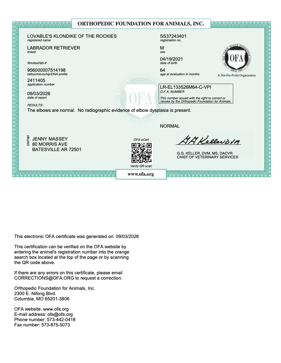 Swagger OFA Elbow Evaluation certificate