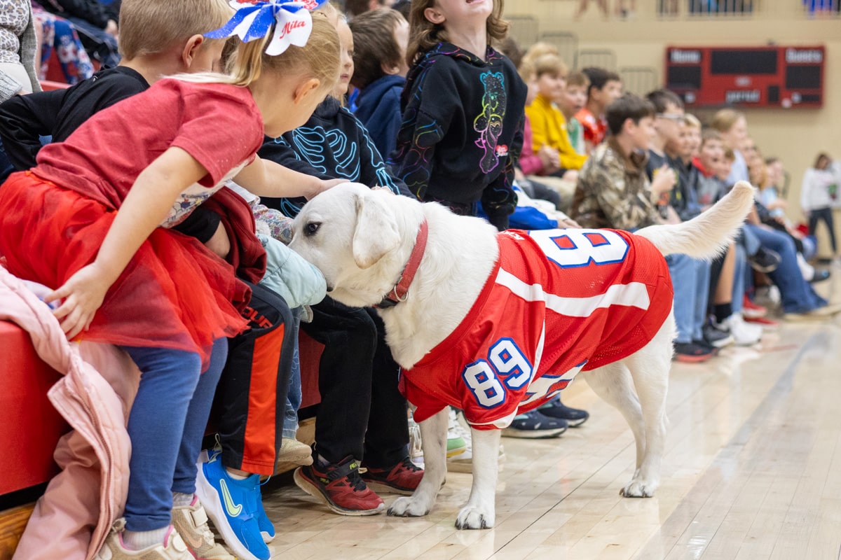 White Labrador therapy dog being petted by children in the bleachers at a school game