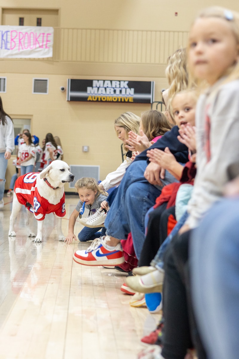 Snowy Pines therapy dog in a team jersey greeting a young girl at a school pep rally